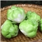湖南本地榨菜头 4斤